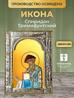 Икона Спиридон Тримифунтский в ризе, 18x24 см
