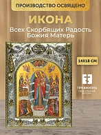 Икона Всех Скорбящих Радость Божия Матерь в ризе, 18х14 см