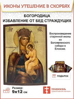 Икона Пресвятая Богородица Избавление от бед страждущих 13х18 см