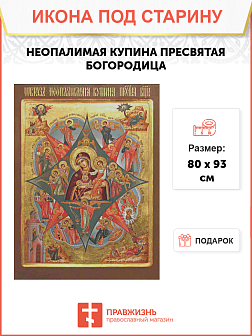 Икона Неопалимая Купина