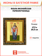 Образ святой Феклы Иконийской и Селевкийской, равноапостольной первомученицы, 13Ф1