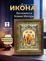 Икона Экономисса Божия Матерь в ризе и деревянном киоте, 26х22 см