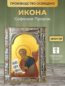 Икона Софония Пророк в ризе, 18x24 см