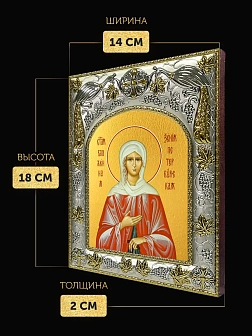 Икона Ксения Петербургская в ризе, 18х14 см