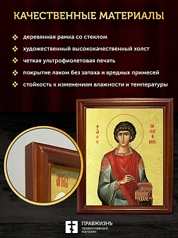 Икона Пантелеимон Целитель великомученик с золочением, деревянная рамка со стеклом 15х18х2 см 1125 Икона Пантелеимон Целитель великомученик с золочением, деревянная рамка со стеклом 15х18х2 см 1125