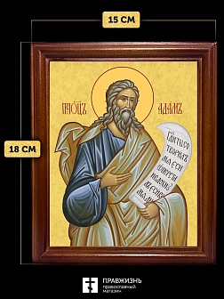 Икона Адам праотец, деревянная рамка со стеклом 15х18х2 см 197