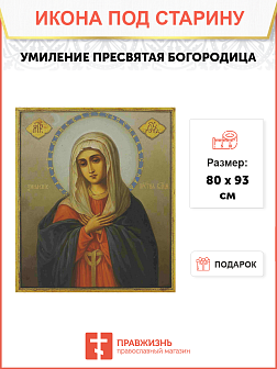 Икона Божия Матерь Умиление (Радость Всех Радостей)