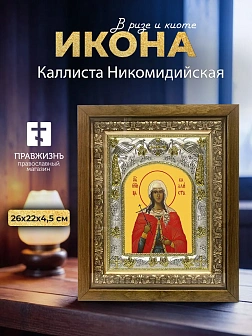 Икона Каллиста Никомидийская в ризе и деревянном киоте, 26х22 см