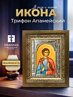 Икона Трифон Апамейский в ризе и деревянном киоте, 33х27 см