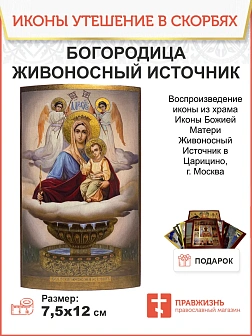 Икона Пресвятая Богородица Прибавление Ума дерево 19х24 см