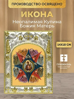 Икона Неопалимая Купина Божия Матерь в ризе, 18х14 см