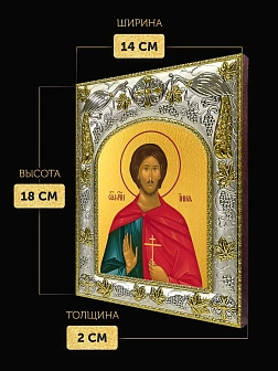 Икона Инна Новодунский в ризе, 18х14 см