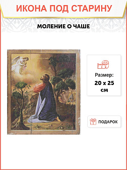 Икона Пресвятой Богородицы Моление О Чаше