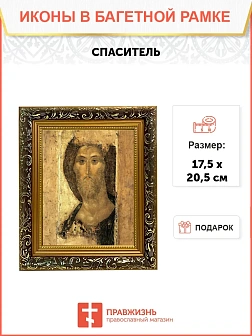 Икона Спаситель Господь Иисус Христос, узкая рамка 17,5х20,5х2 см 214