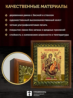 Икона Божией Матери Всецарица, деревянная рамка с басмой и стеклом 18х21х2,5 см 054