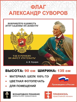 Флаг 281 Суворов Русские не могут отступать триколор 90х135 материал шелк для помещений