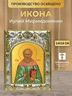 Икона Иулий Мирмидонянин в ризе, 18х14 см