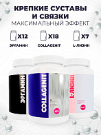 Крепкие суставы и связки. Максимальный эффект (курс 90 дней: 12-х Эргамин + 18-х Коллагенит + 7-х L-Лизин с выгодой 20%)