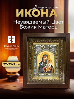 Икона Неувядаемый Цвет Божия Матерь в ризе и киоте под дерево, 27х23 см