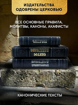 Подарочный набор книг в кожаном переплете: Евангелие 09.35, Молитвослов большой 06.10 и Псалтирь 08. Подарочный набор книг в кожаном переплете: Евангелие 09.35, Молитвослов большой 06.10 и Псалтирь 08.