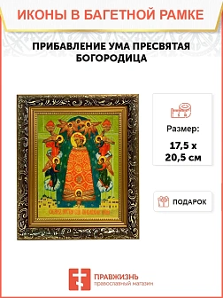 Икона Божией Матери Прибавление ума, узкая рамка 17,5х20,5х2 см 122
