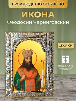 Икона Феодосий Черниговский в ризе, 18x24 см
