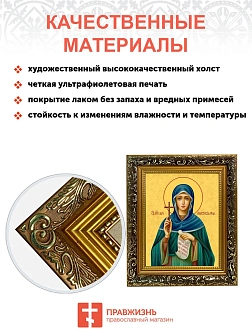 Икона Анастасия Римляныня преподобномученица, узкая рамка 17,5х20,5х2 см 381 Икона Анастасия Римляныня преподобномученица, узкая рамка 17,5х20,5х2 см 381