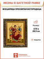Икона Божией Матери Всецарица, узкая рамка 17,5х20,5х2 см 054
