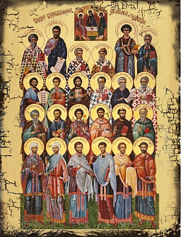 Икона СОБОР Святых Целителей (МЕШКОВИНА)